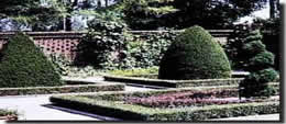 Sir Walter Garden