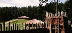 Town Creek Indian Mound